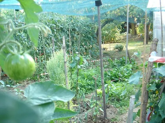 B&B Il Torchio Calco  Italy